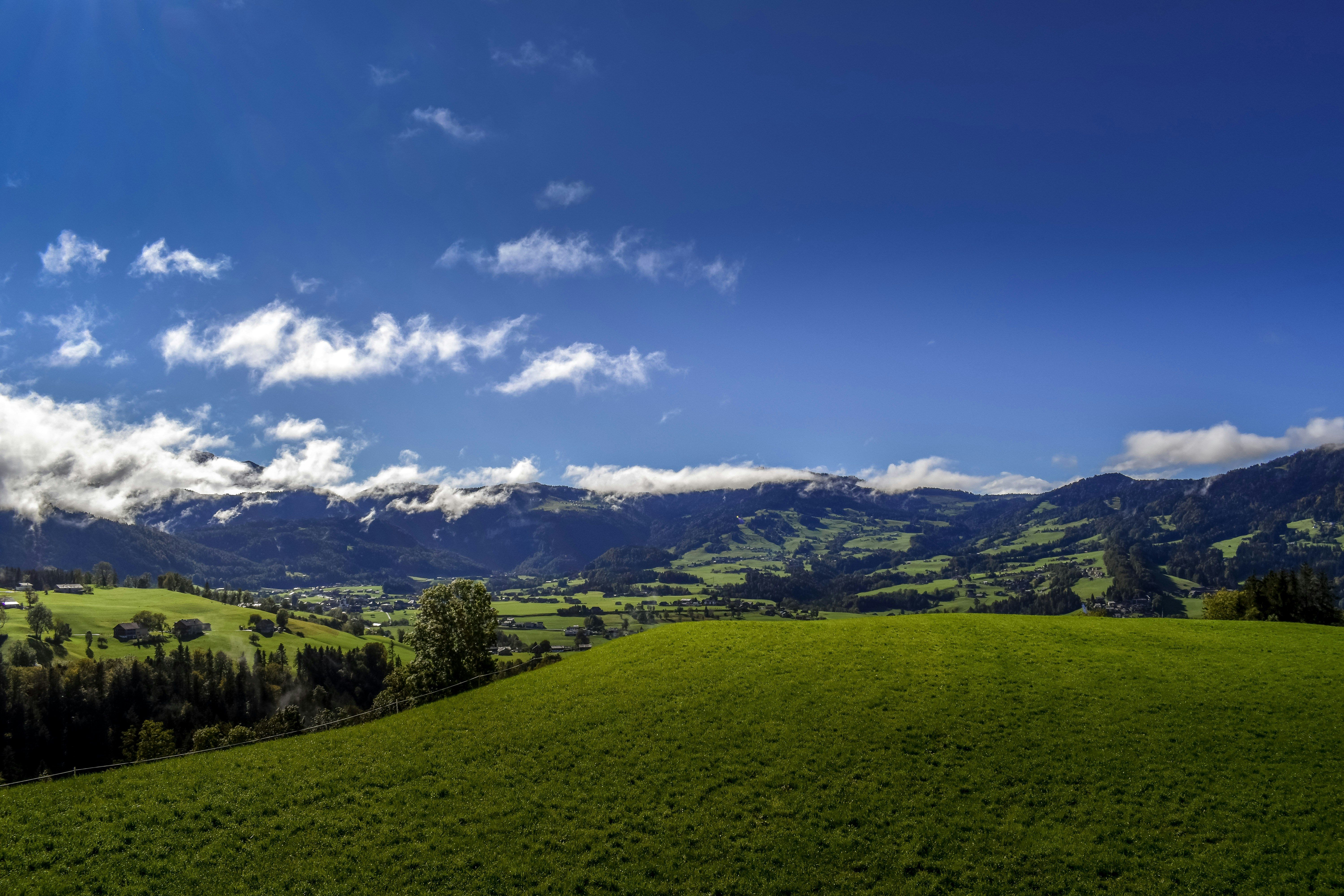 Photo by fabiankuehne