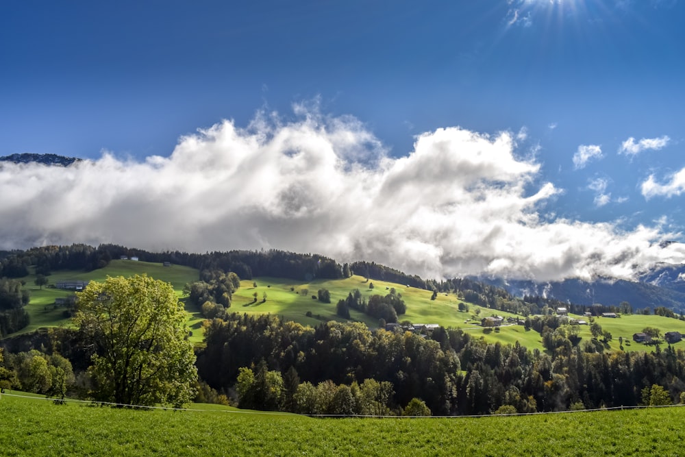 green grass field under blue sky and white clouds during daytime