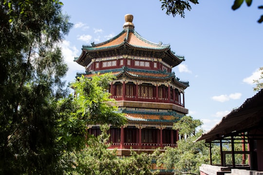 red and brown temple surrounded by green trees during daytime in Summer Palace China