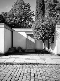 A black and white image highlights a small, minimalist courtyard with a wooden door at the center. Surrounded by white walls, a lush, leafy tree stands to one side, casting shadows across the ground. Cobblestones cover the foreground, adding texture and depth to the scene.