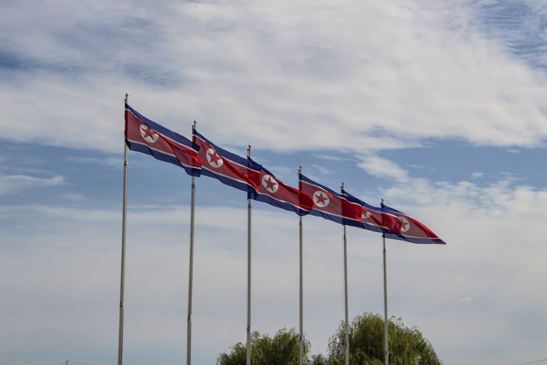 red and white flags on poles