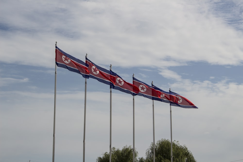 red and white flags on poles