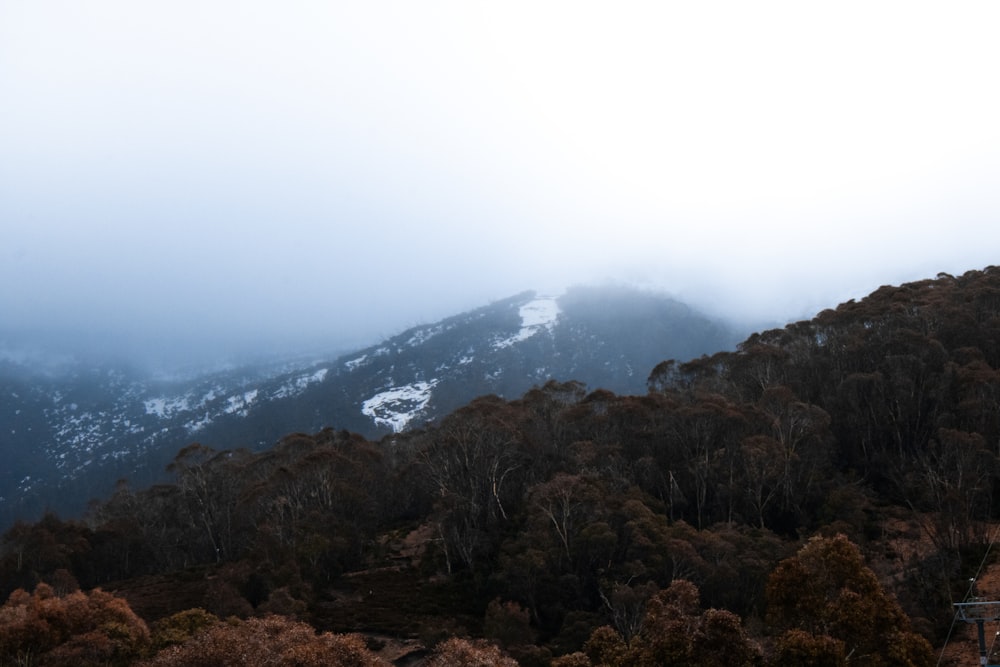 brown and black mountains under white sky during daytime