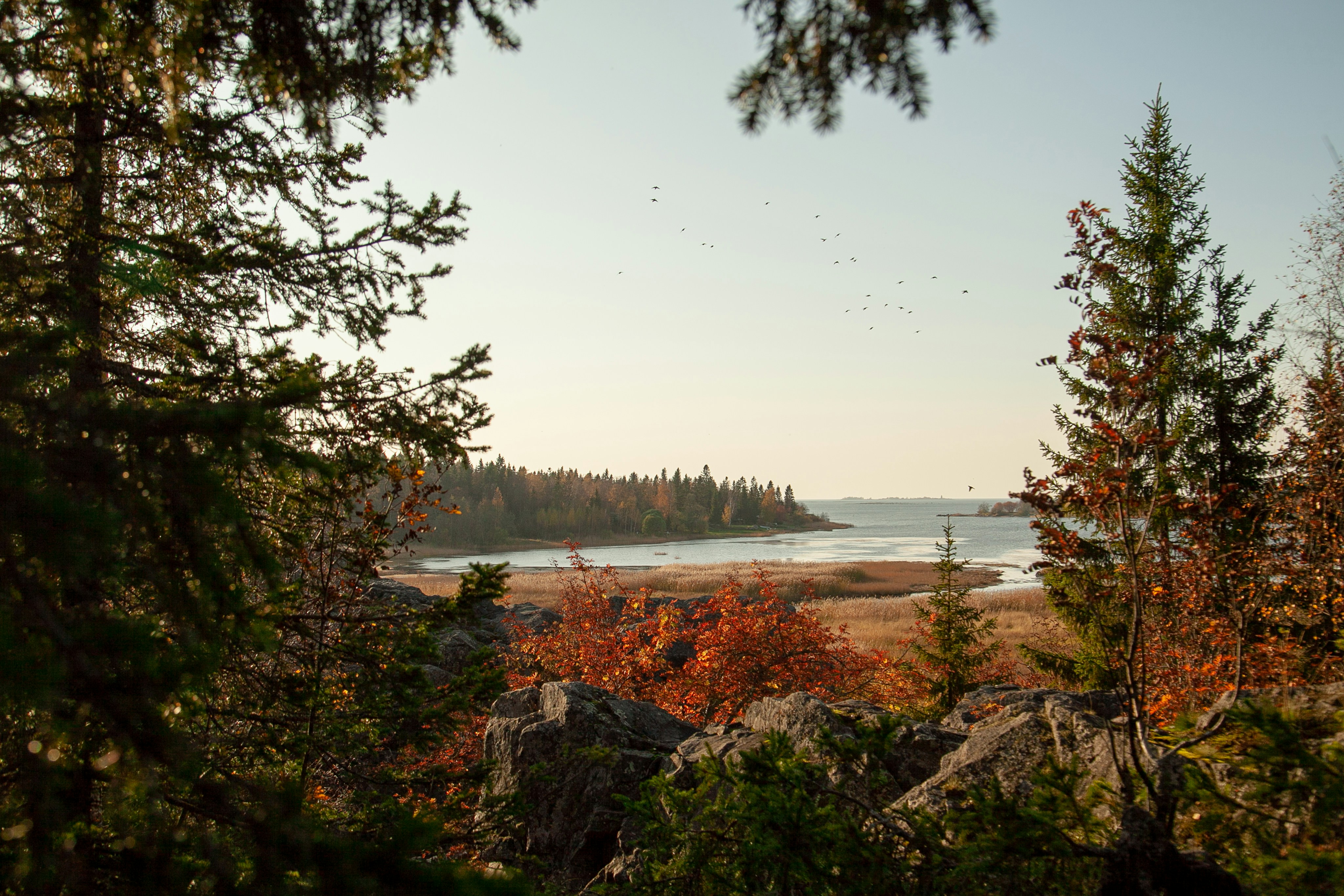 Photo by nick_brookenheimer