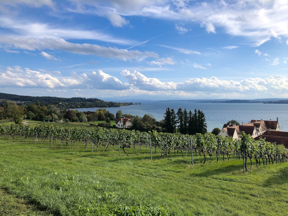 Menschen, die tagsüber auf Rasen unter blauem Himmel sitzen