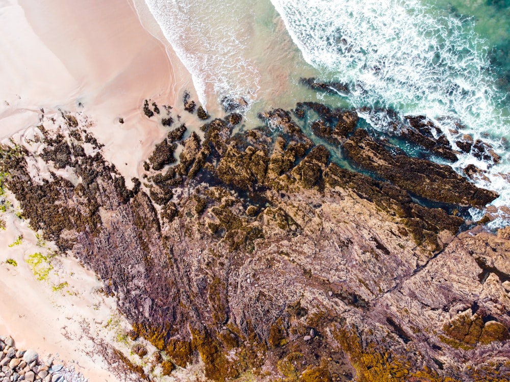 birds eye view of a beach