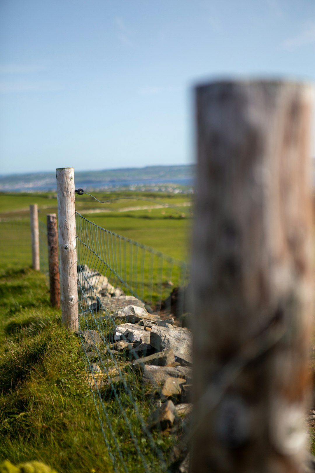 green grass field near brown wooden fence during daytime