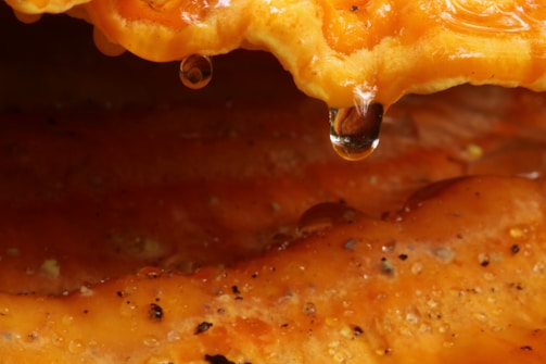 A close-up view of a golden-brown surface with a glossy, viscous liquid dripping from the top. The liquid appears sticky and syrup-like, capturing light in a way that suggests thickness. The surface beneath has a textured appearance, dotted with small particles and a few tiny bubbles.