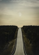 gray asphalt road between green trees during daytime