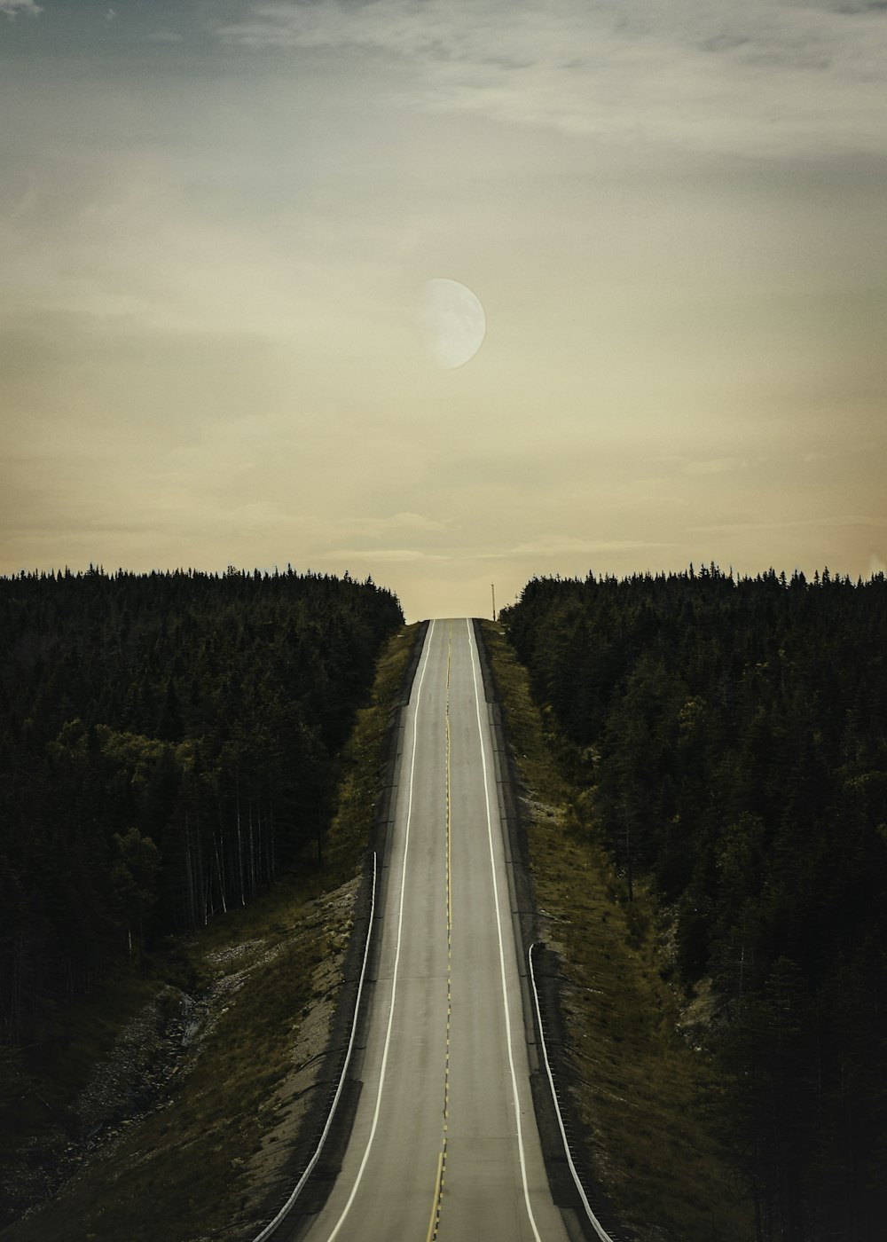 gray asphalt road between green trees during daytime