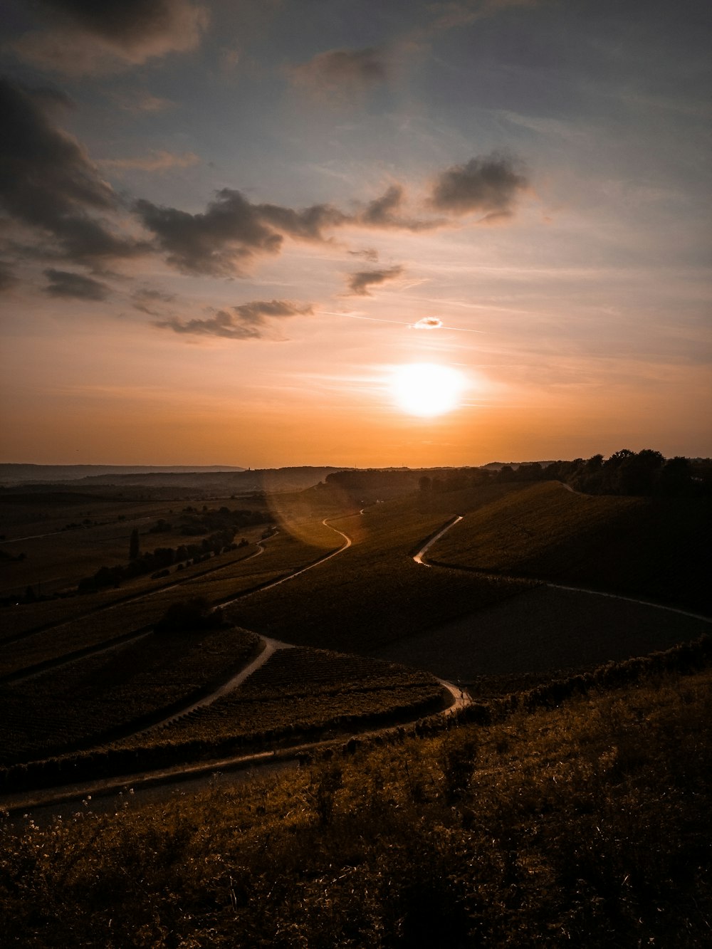 green grass field during sunset