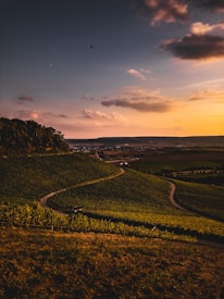 green grass field under cloudy sky during daytime