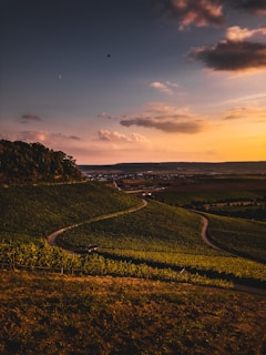 green grass field under cloudy sky during daytime