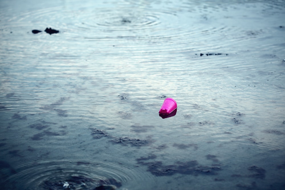 Cuore rosa sull'acqua durante il giorno