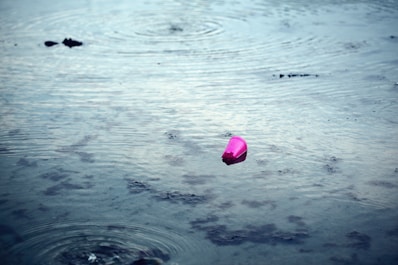 pink heart on water during daytime