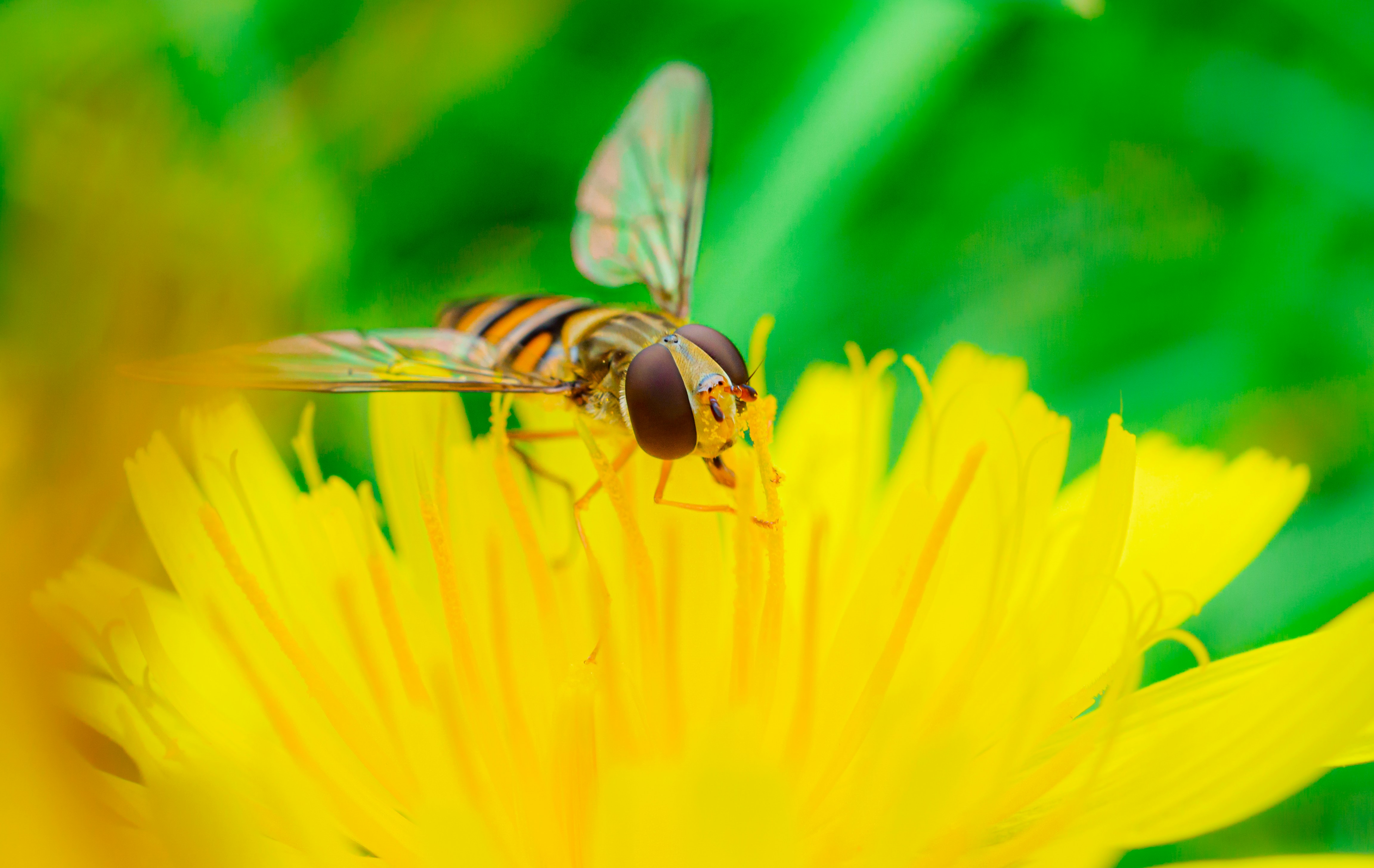 Photo by spacedezert