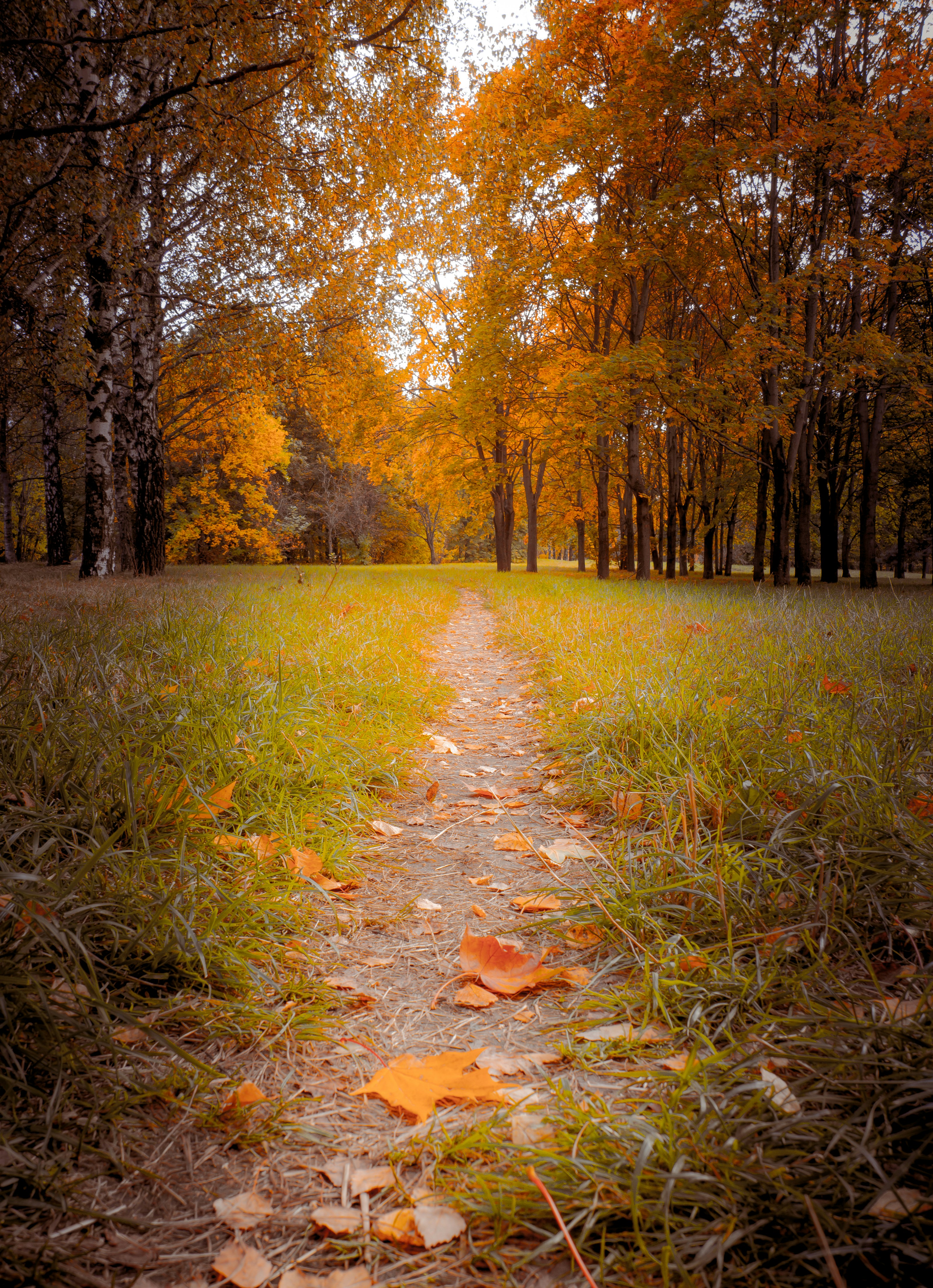 Photo by spacedezert