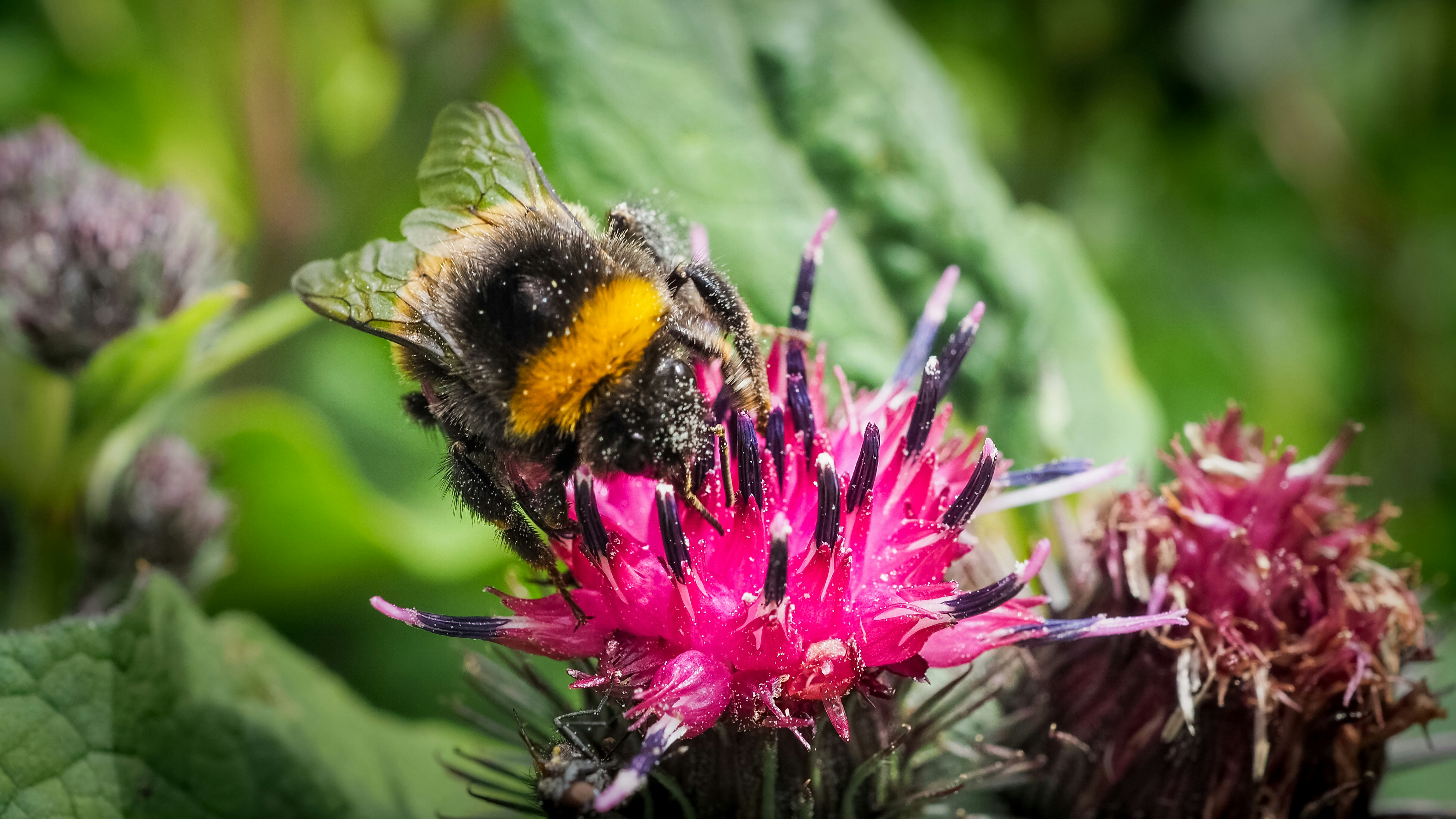 Photo by spacedezert