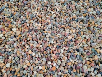 A large collection of small, colorful pebbles spread out, displaying a variety of shapes and sizes. The pebbles are closely packed together, creating a textured surface.