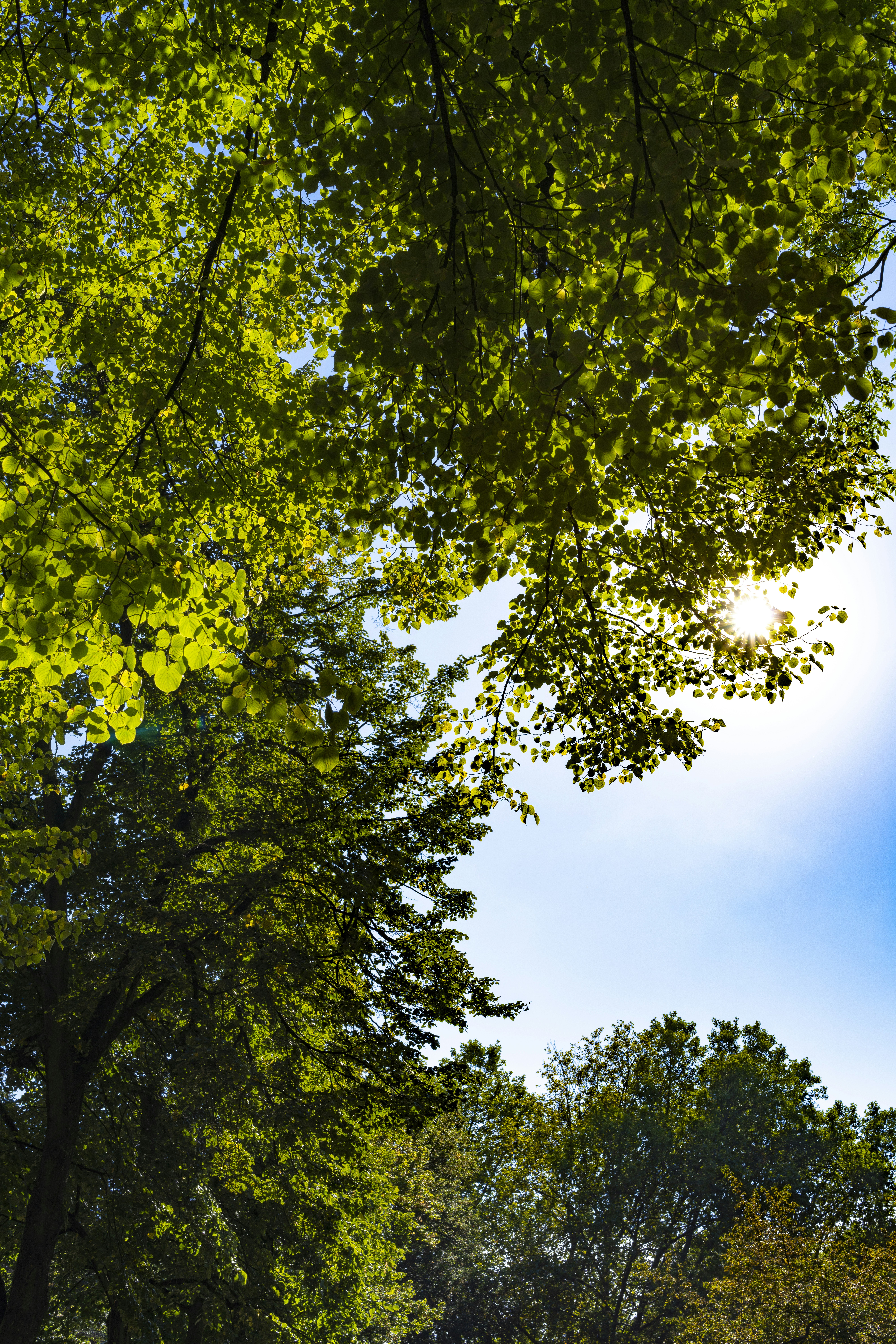 Photo by nilsschirmer