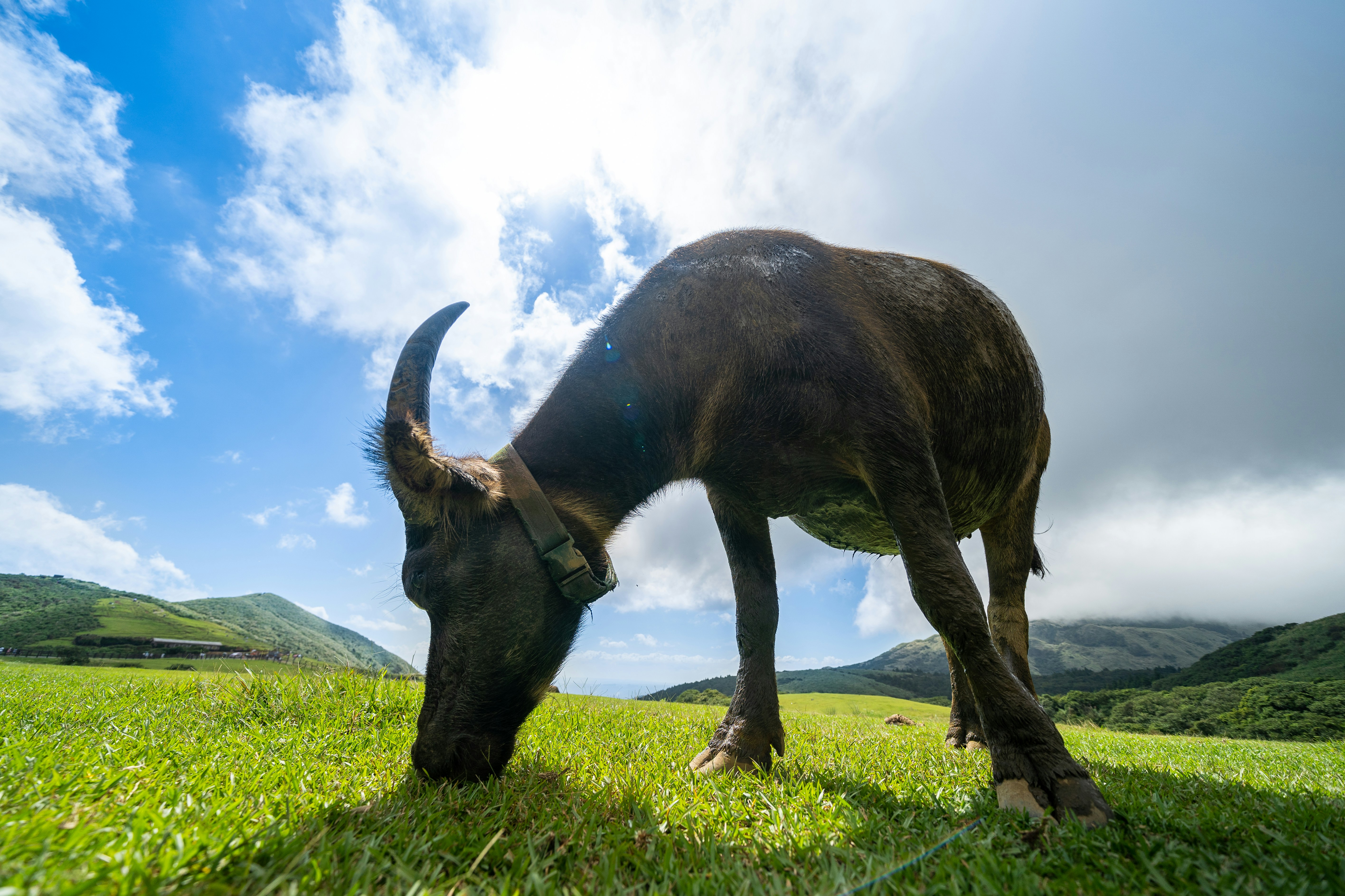 Photo by winstonchen