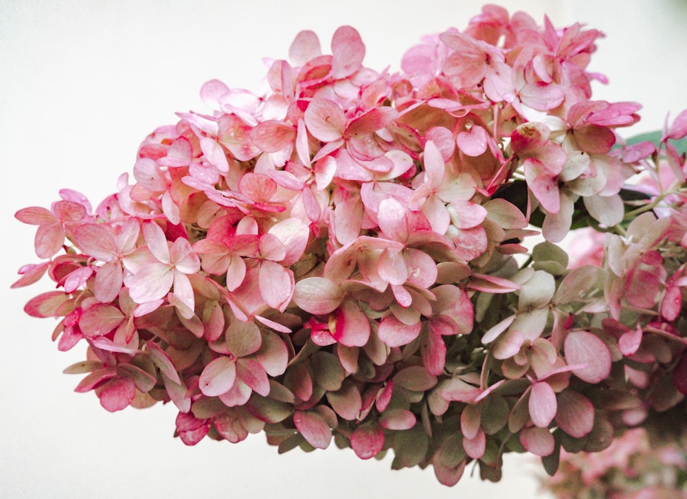 pink and white flower bouquet