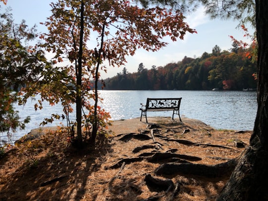 brown wooden bench near body of water during daytime in Gore Canada