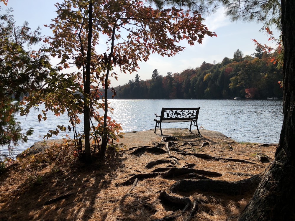 brown wooden bench near body of water during daytime