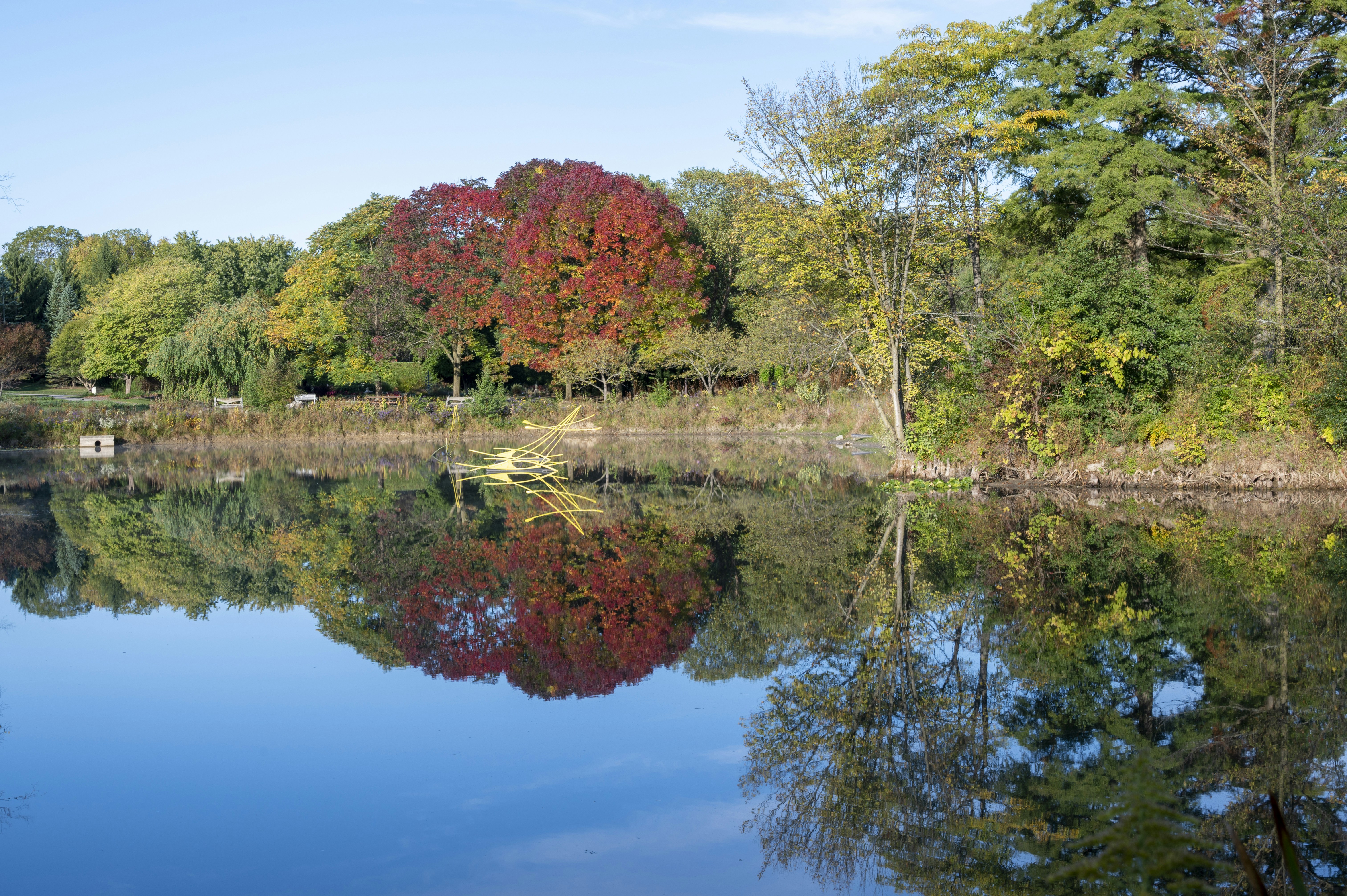 Photo by cholewinski