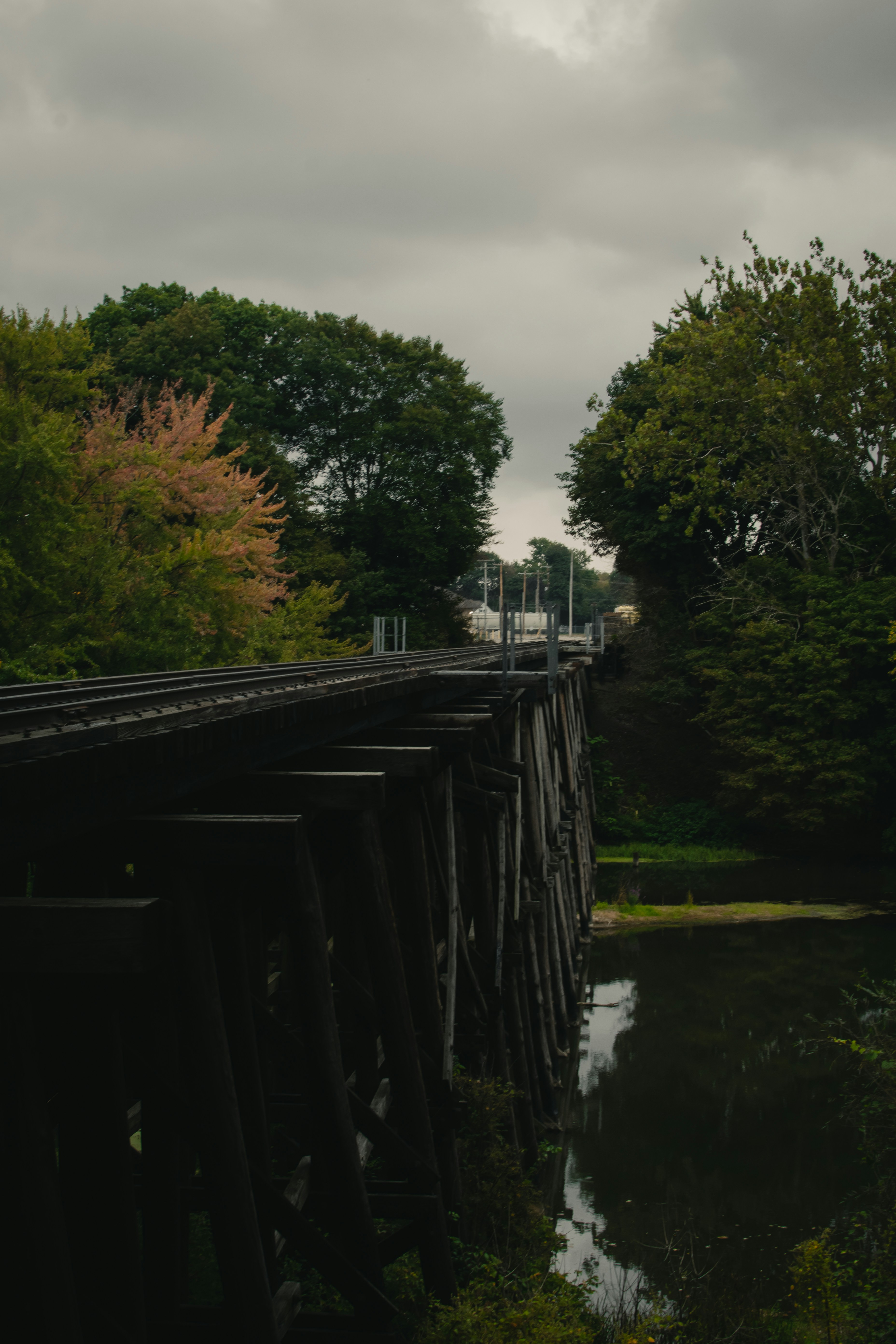 Photo by harrisonfitts