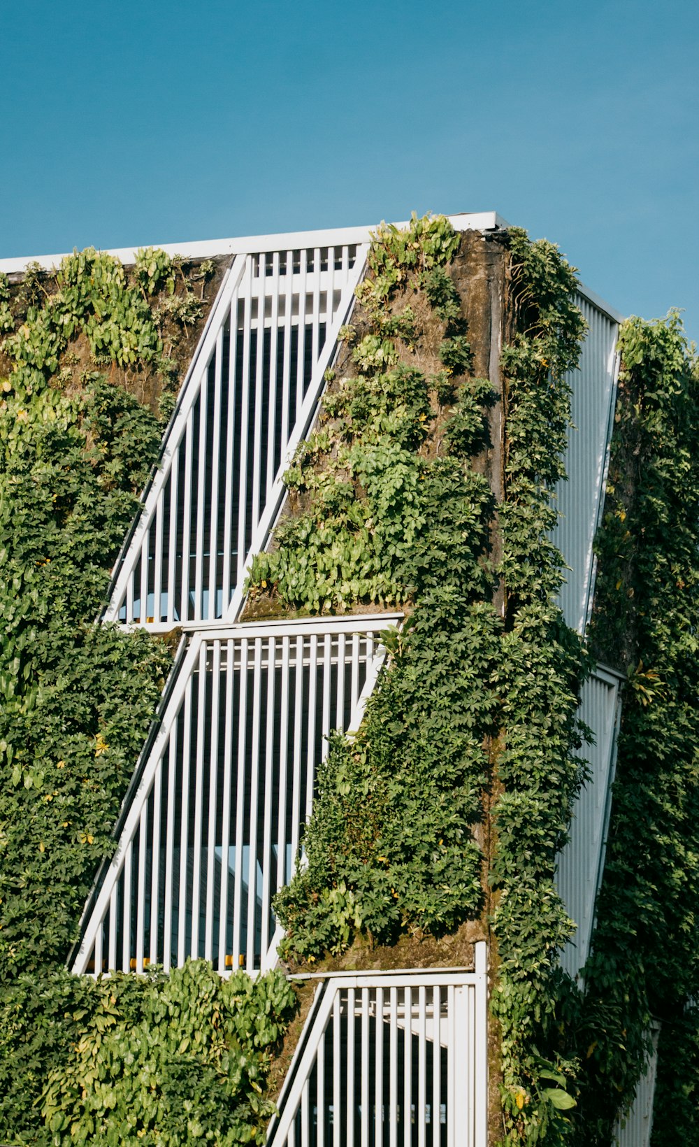 Clôture en bois blanc sur un champ d’herbe verte pendant la journée