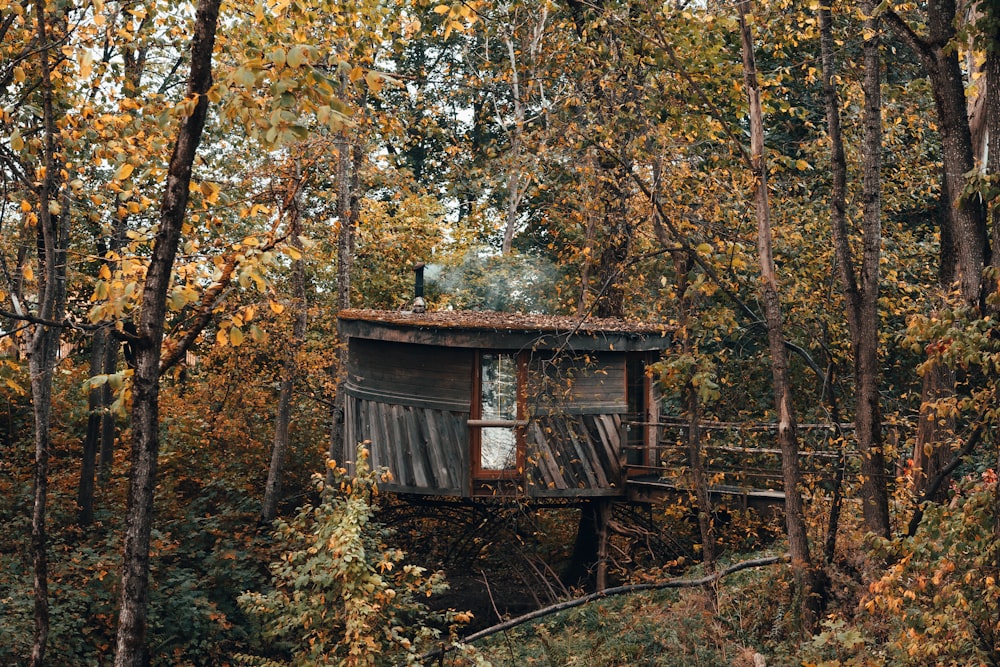 casa de madeira marrom no meio da floresta durante o dia