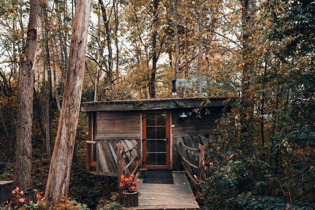 brown wooden house near trees during daytime