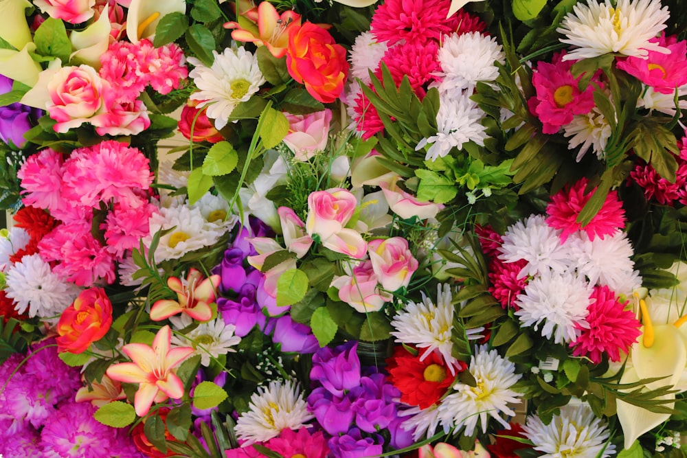 fleurs roses blanches et rouges