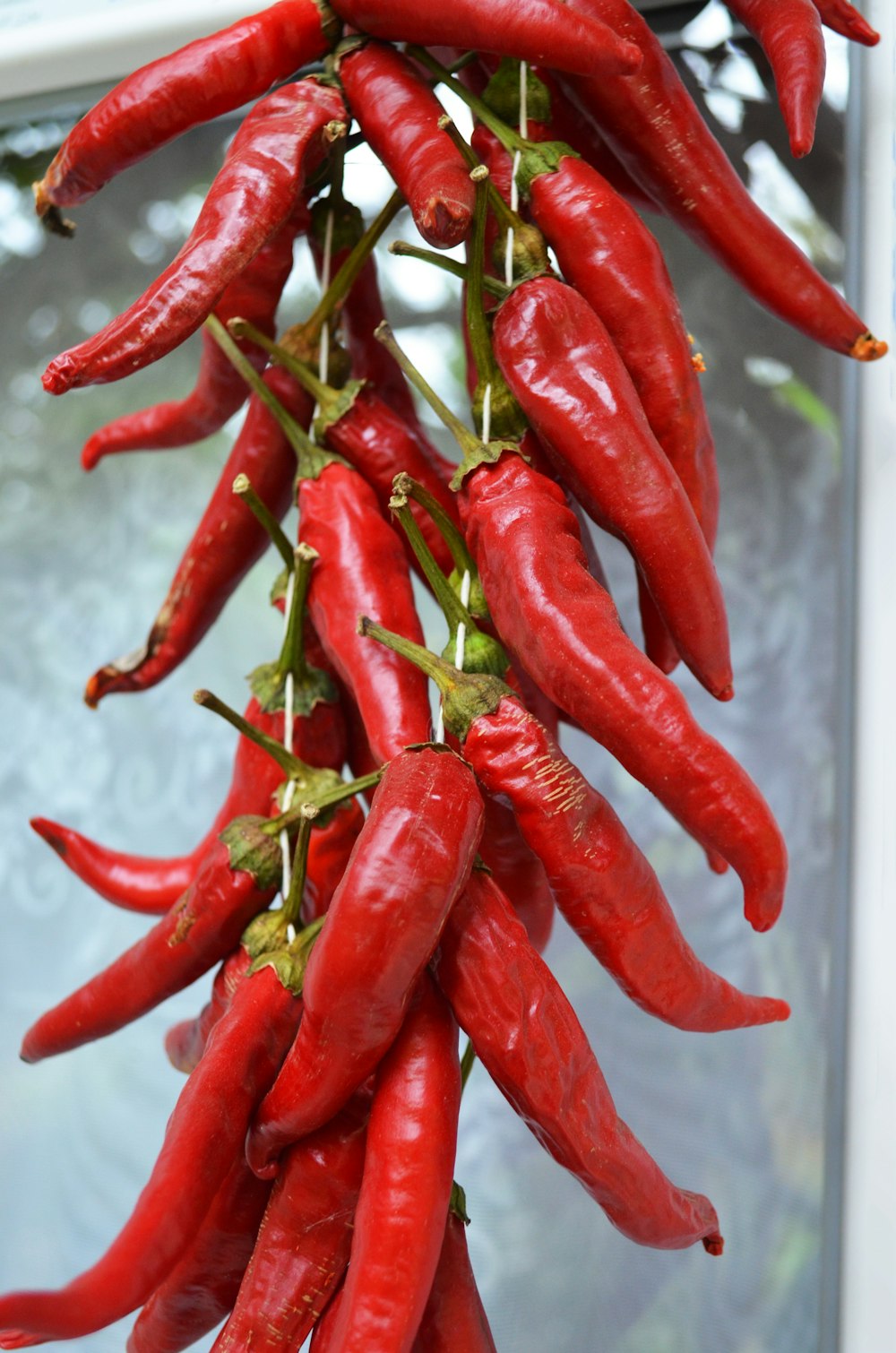 red chili peppers on white plastic container