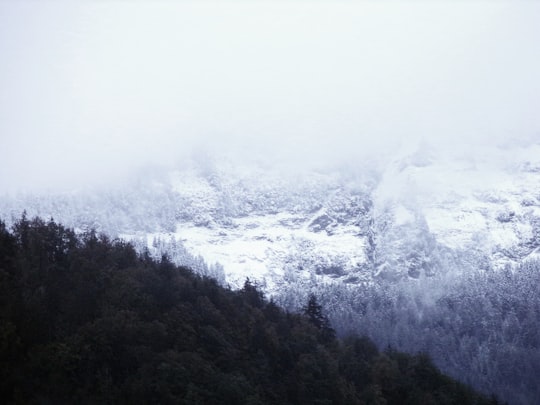 green trees near snow covered mountain during daytime in Savoie France