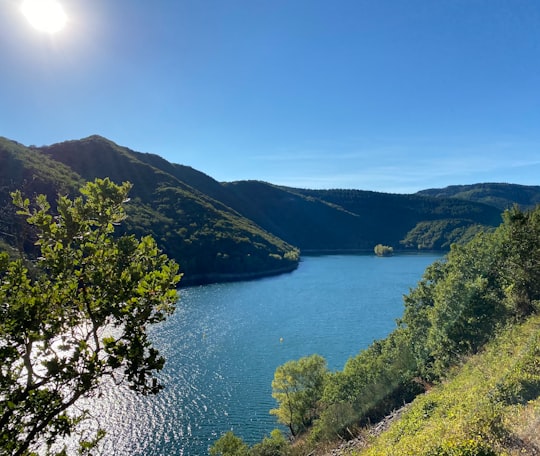 green trees on mountain beside body of water during daytime in Avène France