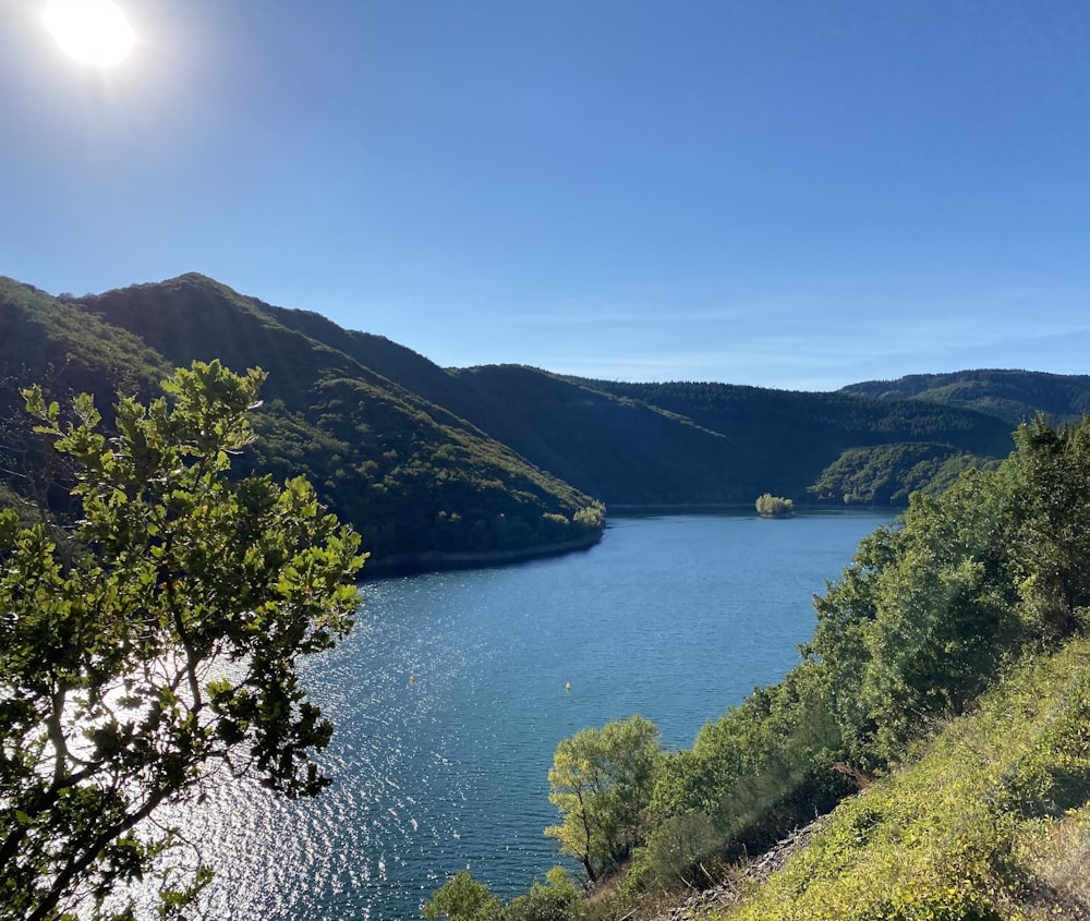 green trees on mountain beside body of water during daytime