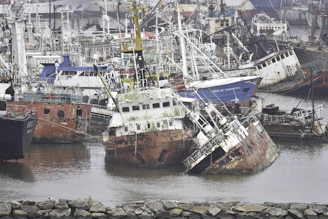 brown and white ship on sea shore during daytime