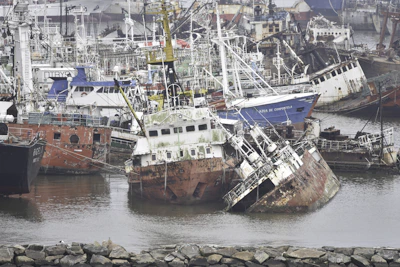 brown and white ship on sea shore during daytime