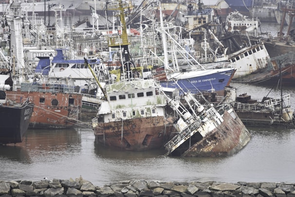 brown and white ship on sea shore during daytime