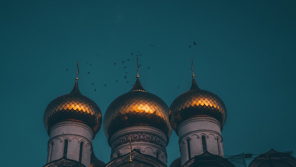 brown and white dome building