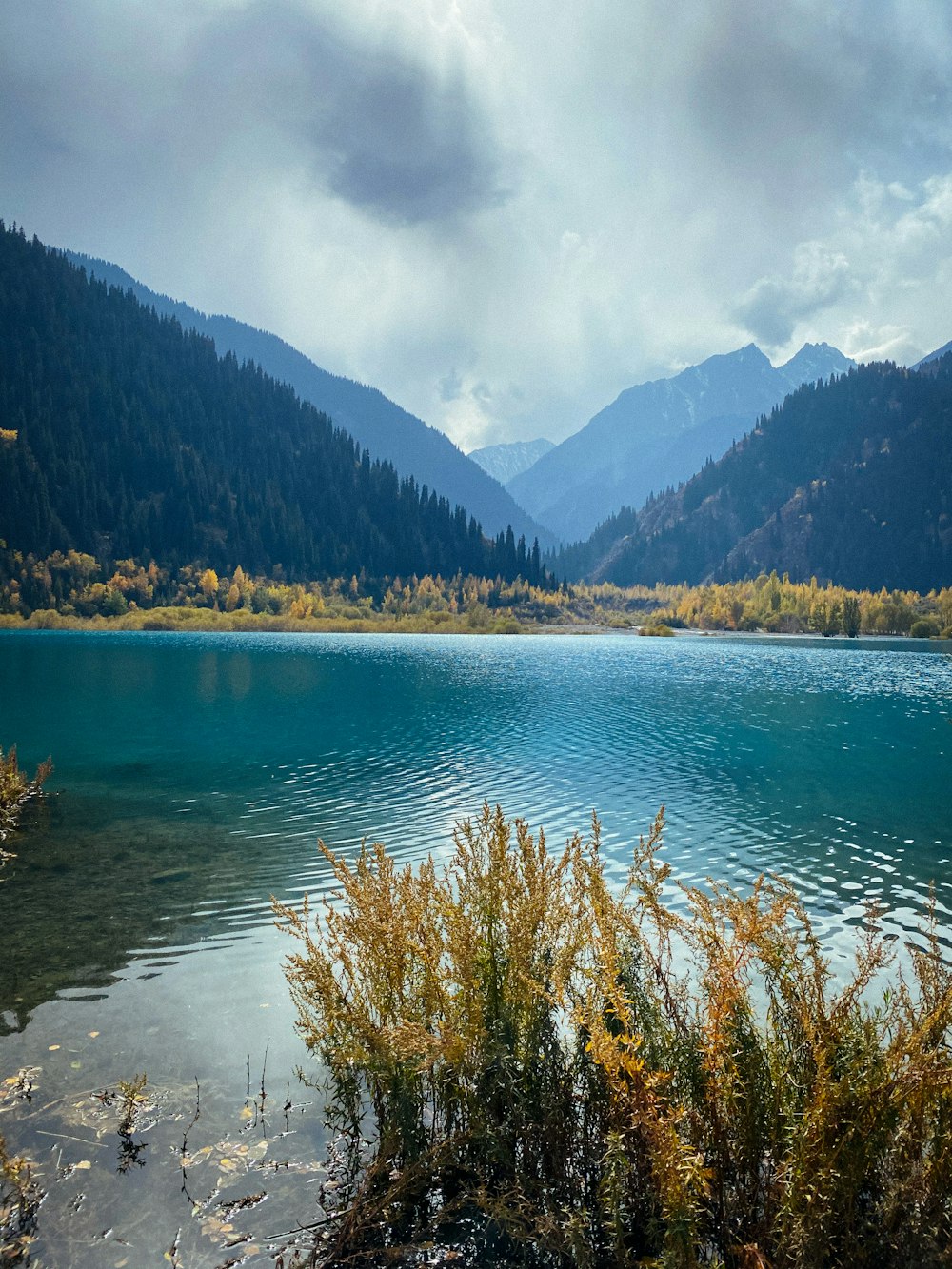 green trees near lake under white clouds and blue sky during daytime