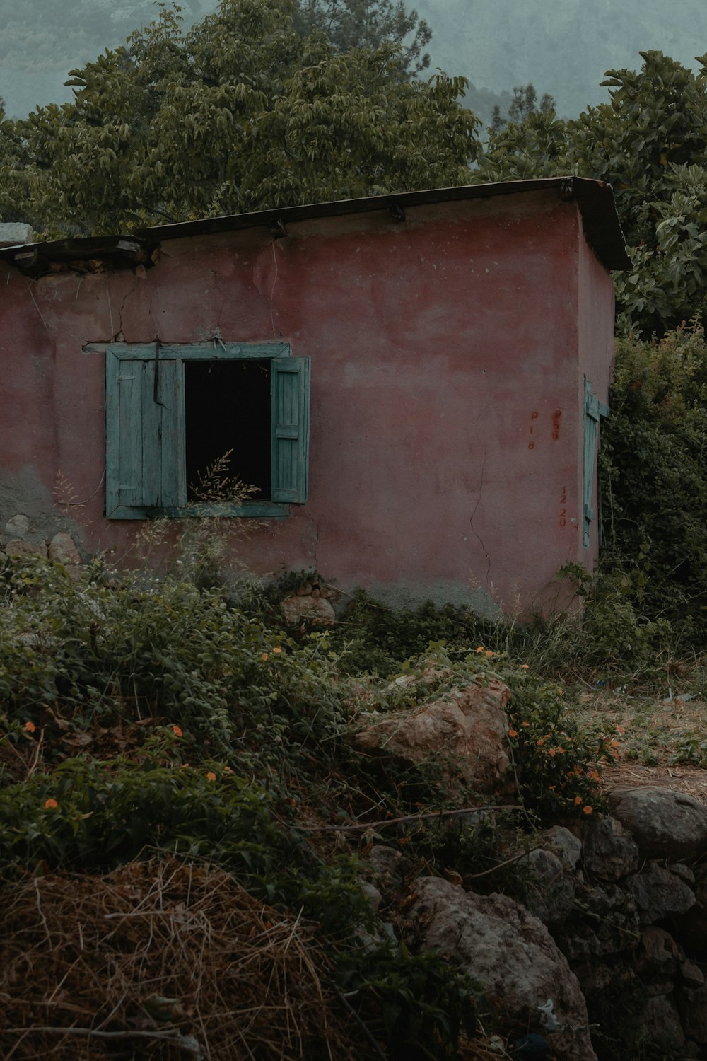 Casa de hormigón verde y rojo