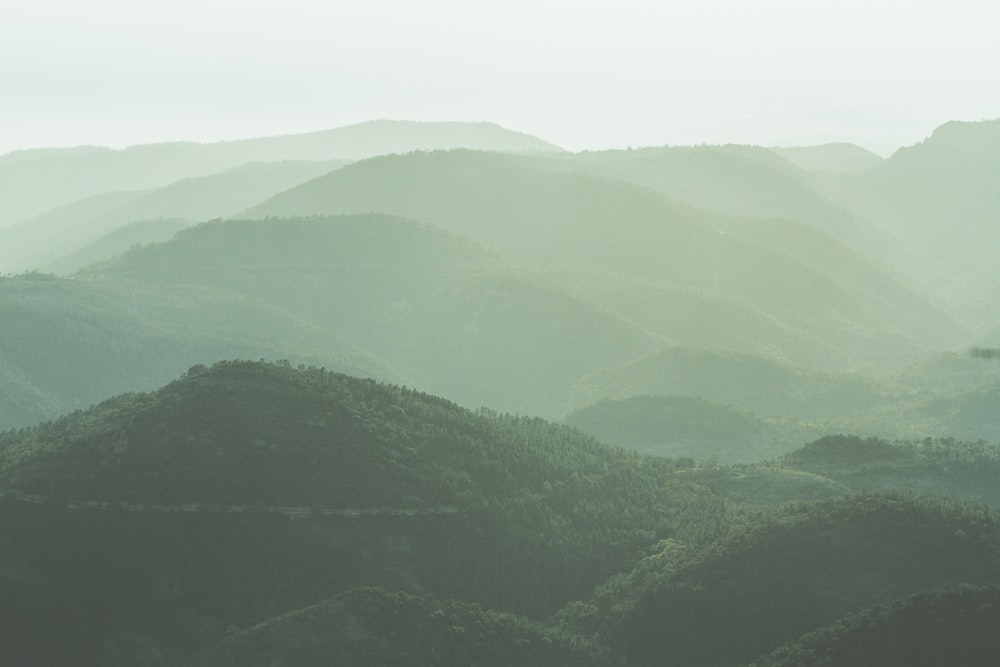 550+ Green Mountain Pictures | Download Free Images on Unsplash