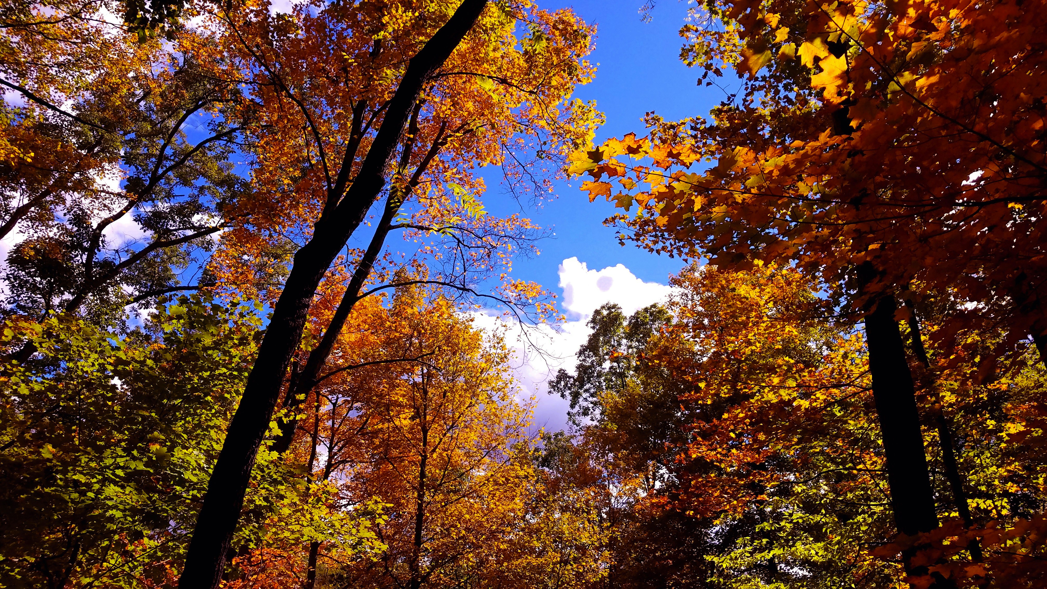 Lake Russell State Wildlife Management Area