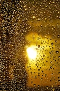 A sparkling clean window reflecting sunlight with a hint of water droplets evaporating.
