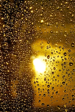 A sparkling clean window reflecting sunlight with a hint of water droplets evaporating.