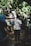 A group of people walking through a lush, green forest trail. One person assists another by holding their hand, guiding them over a rocky path. The area is densely vegetated with large leaves, creating a shadowy, serene atmosphere.