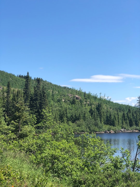 green trees beside river under blue sky during daytime in Grands-Jardins National Park Canada